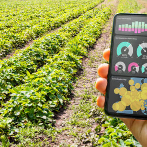 precision-agriculture